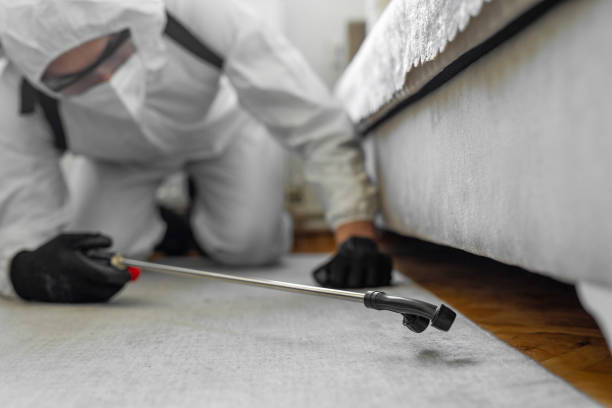 Professional Pest Control technician working in Nassau Village-Ratliff, FL