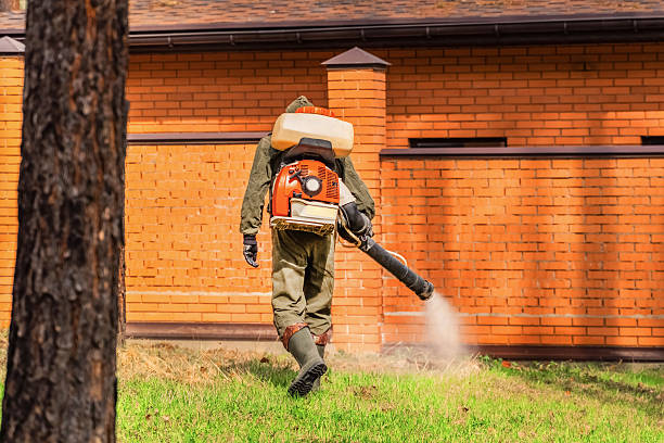 Trusted Emergency Pest Control service in Nassau Village-Ratliff, FL - Nex Pest Control